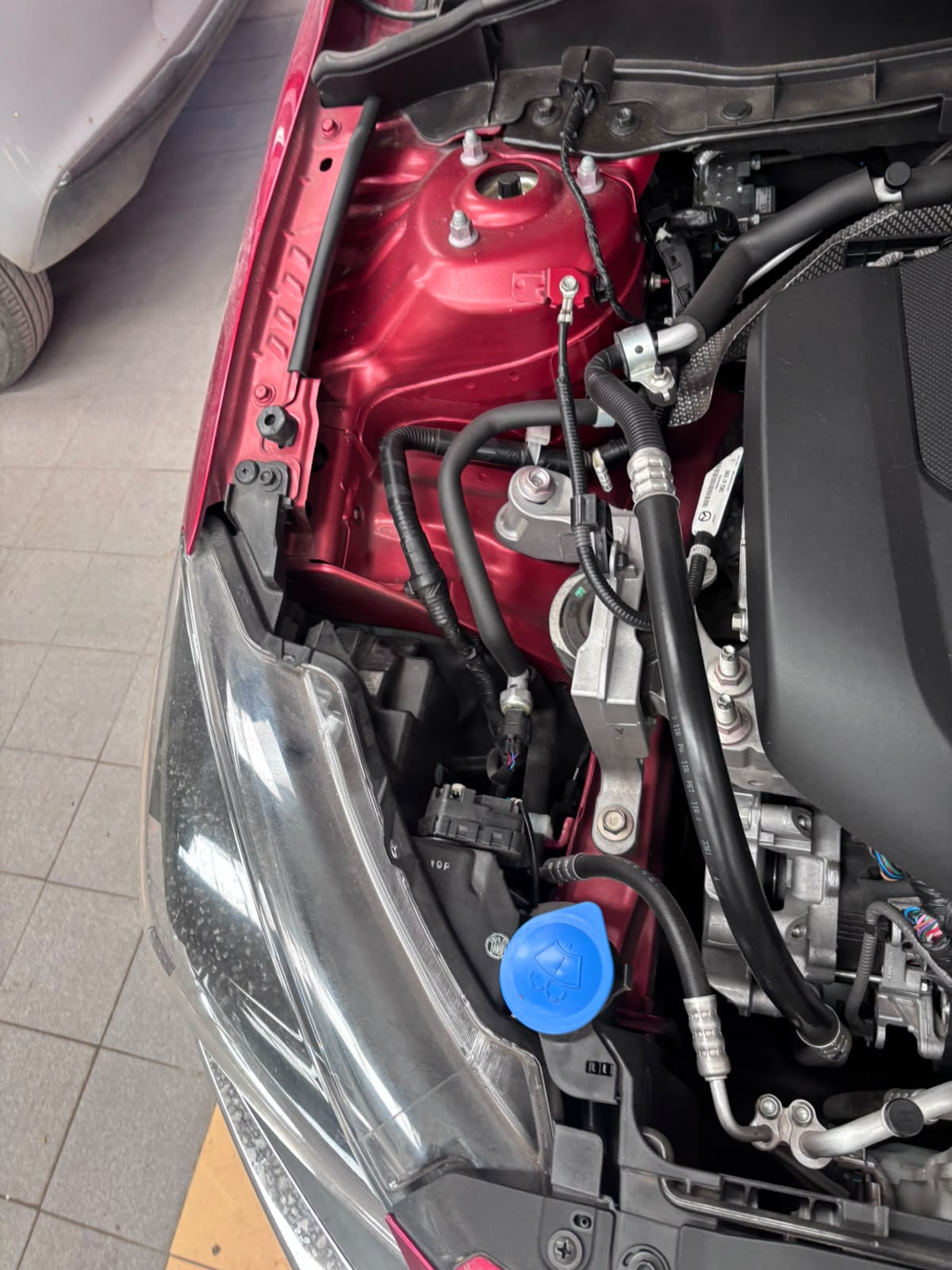 Compartimento del motor pintado en rojo revisado en AUTOTLAN, Ixtapaluca
