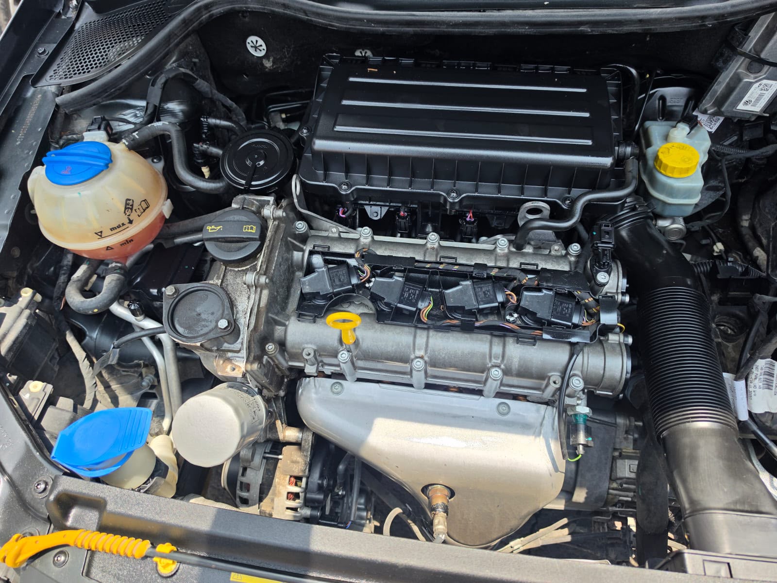 Compartimento del motor en revisión general en AUTOTLAN